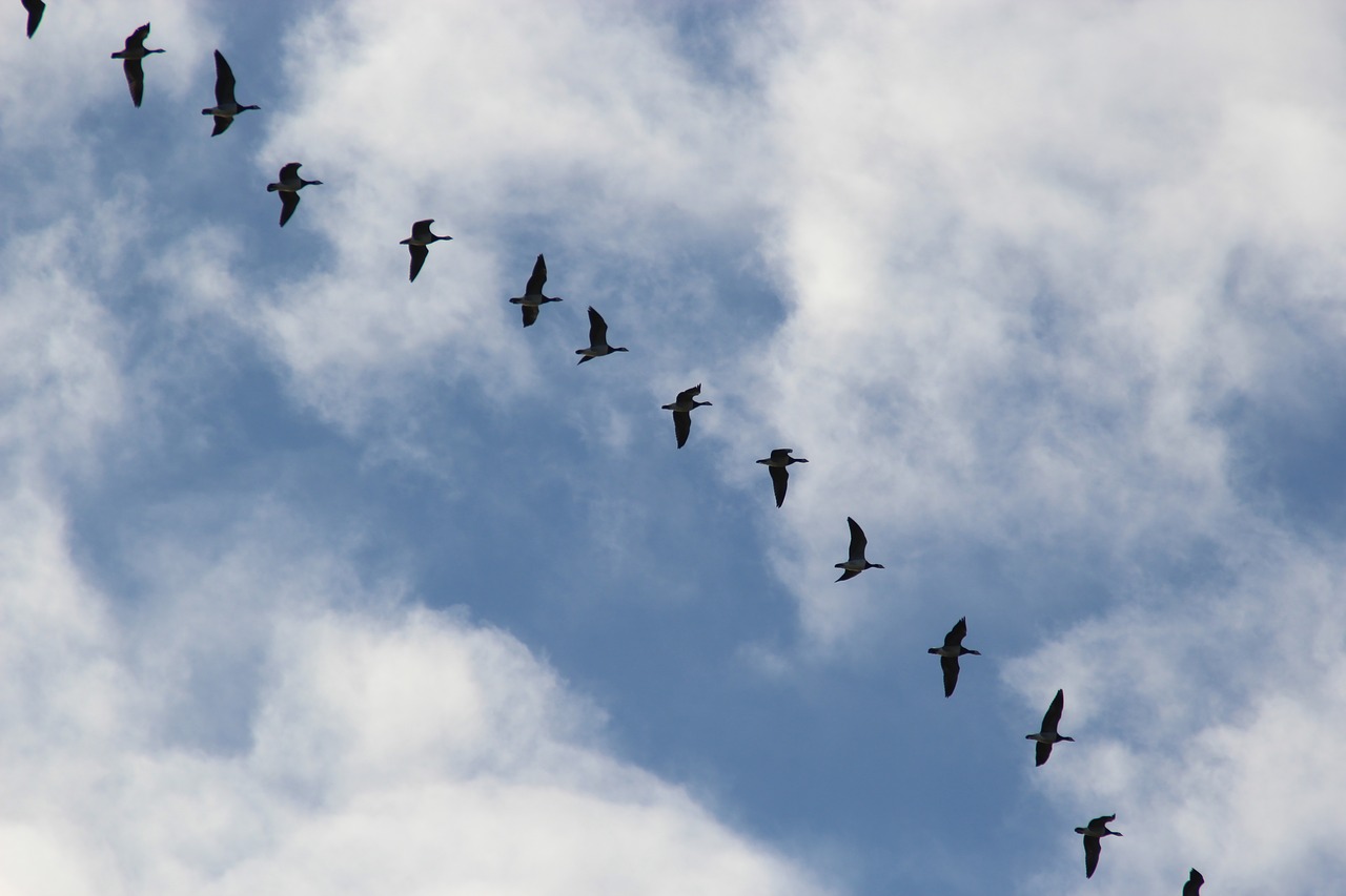 Seamless Migration: Transitioning Legacy Data to Amazon DynamoDB